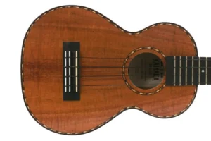 Kamaka HF-2Di Slotted Headstock Deluxe Concert Ukulele
