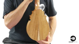 UkeSA Pineapple Sunday Opio Concert Ukulele Acacia “Surprise”
