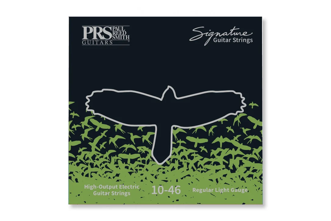 PRS Signature Electric Guitar Strings – Regular Light .010-.046