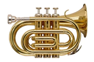 Stagg WS-TR245S Bb Pocket Trumpet