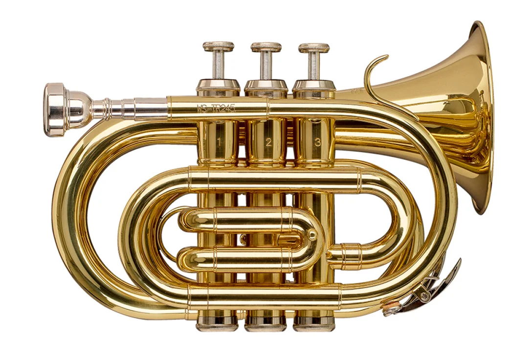 Stagg WS-TR245S Bb Pocket Trumpet