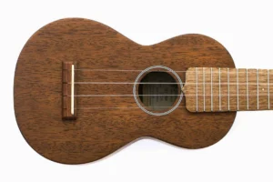 Martin S1UKE Mahogany Soprano Ukulele