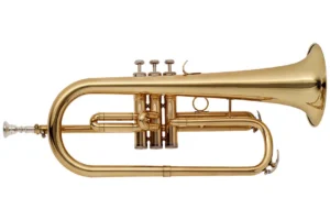 Stagg WS-FH215 Bb Flugelhorn with Brass Body