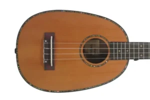 HUG SCR-PTG Cedar Top Pineapple Concert Ukulele