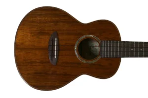 ANueNue AKK2 Hawaiian Koa Concert Ukulele “Lillian”