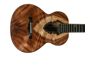 Tyde Custom Stunning Hawaiian Koa Tenor Ukulele “Kalo”