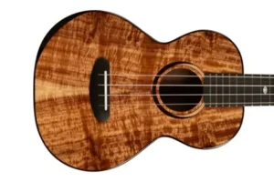Kala CT-SA-TG Contour Series Solid Acacia Tenor Ukulele