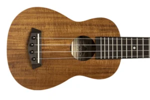 Islander AS-4 Flamed Acacia Soprano Ukulele