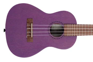 Kala MRT-PUR-C Royal Purple Watercolor Meranti Concert Ukulele