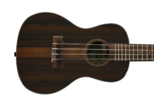 Kala ZCT-C Gloss Ziricote Concert Ukulele