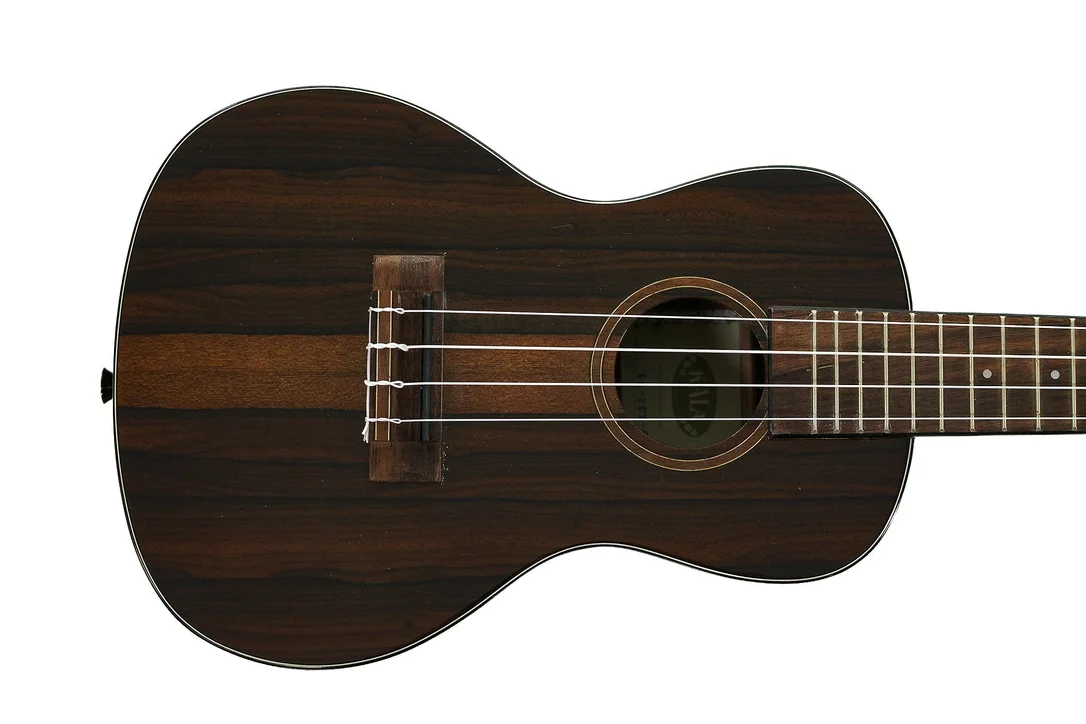 Kala ZCT-C Gloss Ziricote Concert Ukulele