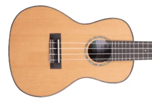 Kala SCAC-C Solid Cedar Top Concert Ukulele