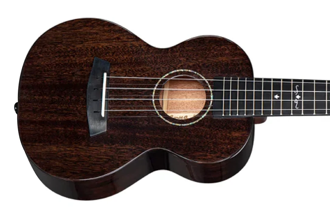 Enya EUC-MAD-BK Solid Mahogany Concert Ukulele – Black
