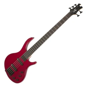 Bajo Electrico Toby Standard V De 5 Cuerdas, Ebony – Epiphone – EBD5EBBH1