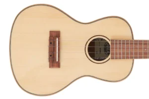 Kala SKCG Solid Spruce Top Concert Ukulele