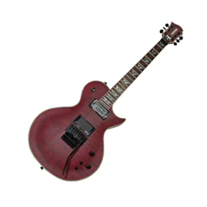 Fernandes Monterey DLX Tremolo SUS WRS