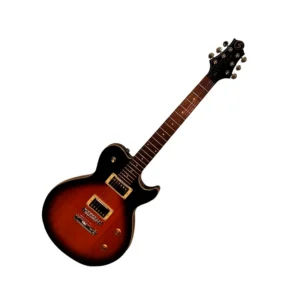 Greg Bennett Avion AV1 – Vintage Sunburst
