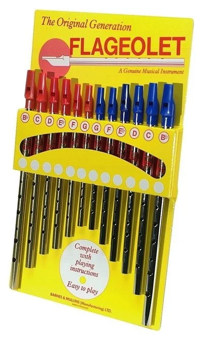 GEWA 700510 FLAGEOLET FLAUTO IRLANDESE A SEI FORI VARIE TONALITA’ TIN WHISTLE PENNYWHISTLE FLAUTO A FISCHIETTO
