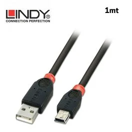 Cavo Lindy usb 2.0 A/Mini-B 1mt