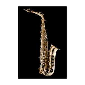 SCHAGERL A66FV-EC MODEL 66 SAX ALTO ( european customized con Chiave f#)