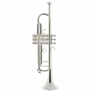 Yamaha ytr9335nys sib argentata
