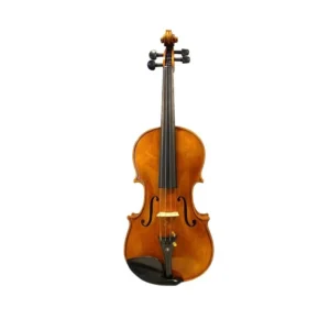 Master luthiers paolo quagliati violino 4/4