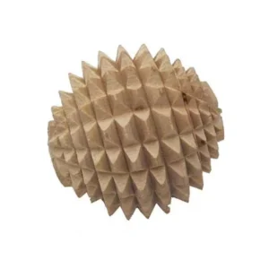 NEEM Massagio-riccio