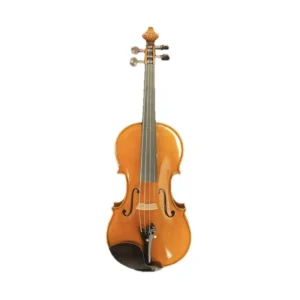 Master luthiers r-vga stradivarius violino 4/4 handmade