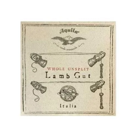 AQUILA Corda per viola da gamba alta RE