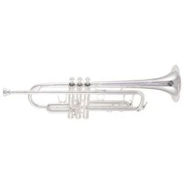 B&S 3137S Tromba Sib Challenger I argentata con custodia | Cavalli Musica