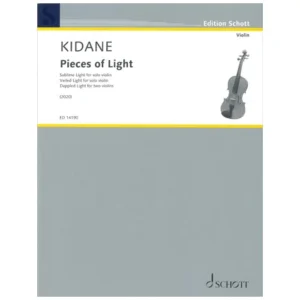 Kidane, D.: Pieces of Light