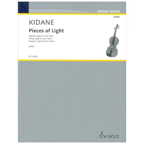 Kidane, D.: Pieces of Light
