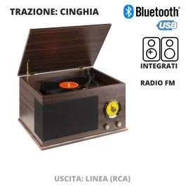 Giradischi Fenton RP173 trasmissione a cinghia Record Player vintage