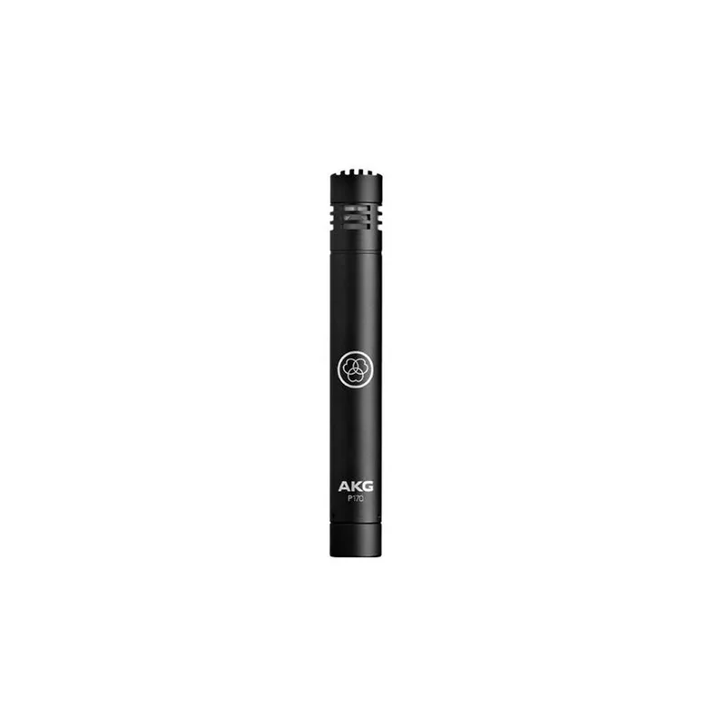 AKG P170 Microfono Cardioide A Condensatore
