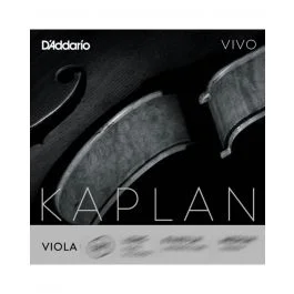 D’Addario Kaplan Vivo viola 2 – Re