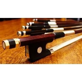Archetto per violino in pernambuco Ary France modello Selection