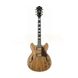 Ibanez as93zw-nt
