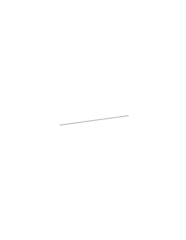Asta Pulizia Trombone