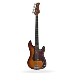 Marcus Miller bajo p5r alder-4 ts