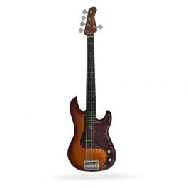 Marcus Miller bajo p5r alder-5 ts