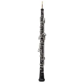 Buffet Crampon BC401120 Oboe con astuccio semplificato | CavalliMusica