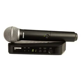 Shure blx24/pg58