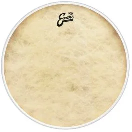 Evans BD22CT