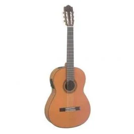 Yamaha cgx102a