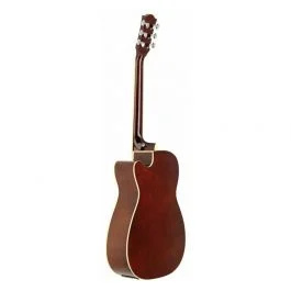 Richwood chitarra acustica auditorium elettrificata