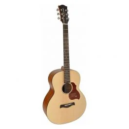Richwood chitarra acustica baritona