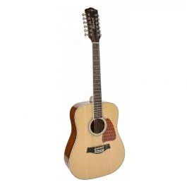 Richwood chitarra acustica dreadnought 12 corde