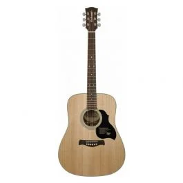 Richwood chitarra acustica dreadnought