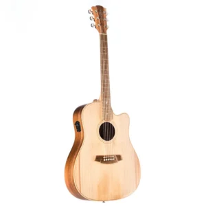 Cole Clark FL2EC-BB