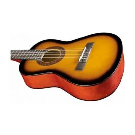 Eko Guitars cs-2 sunburst